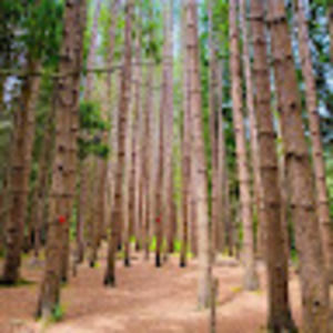 Meet your Posher, Tsering